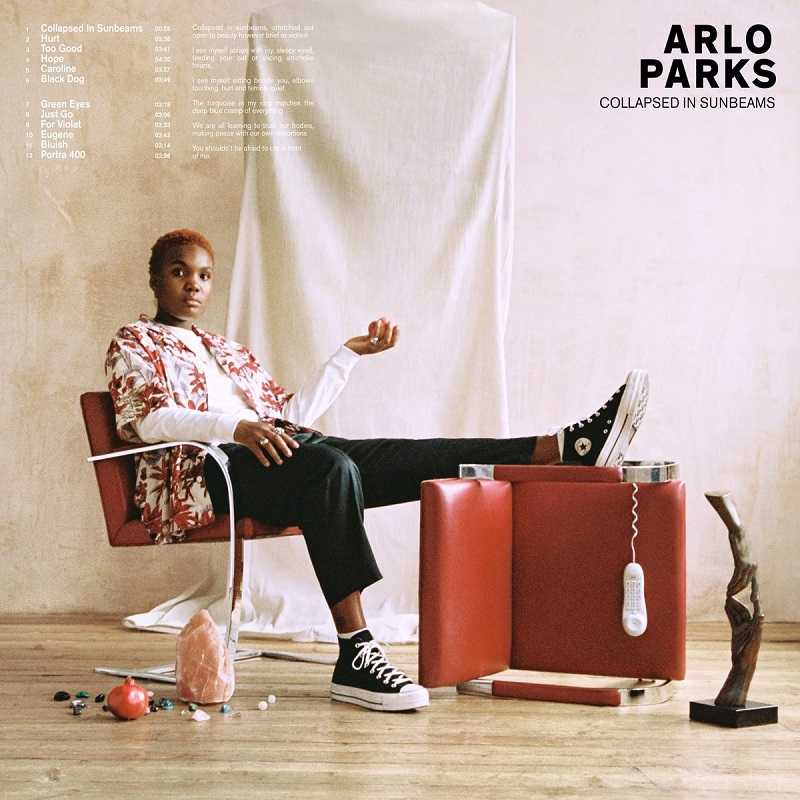 Arlo Parks - Collapsed In Sunbeams (Deluxe)